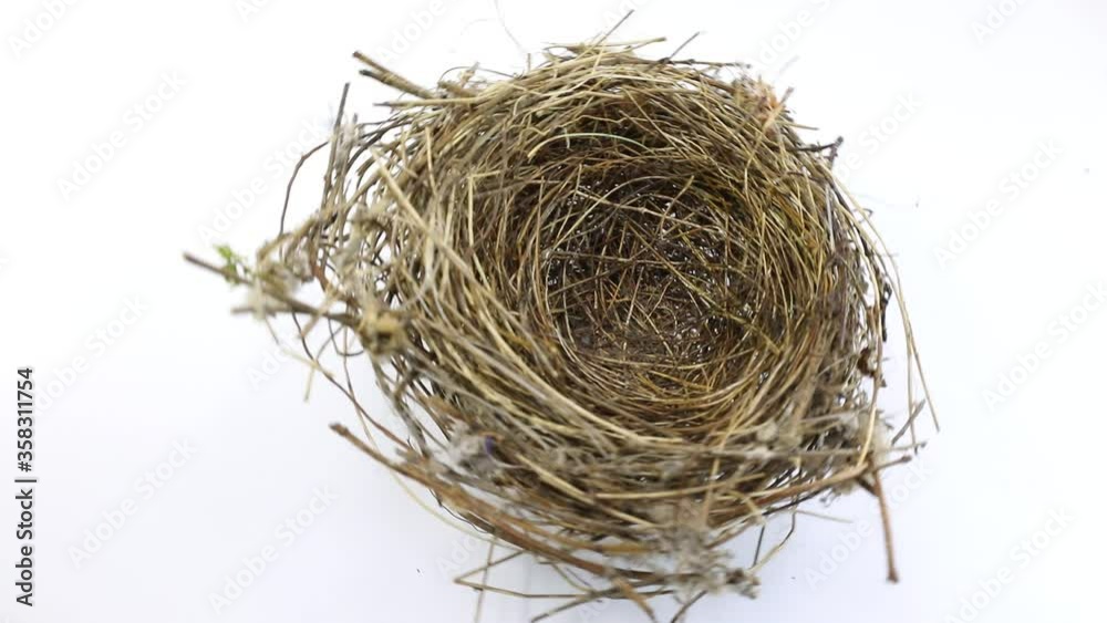 small nest of a bird on white 
