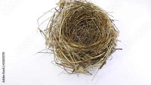 nest of a bird on a white background