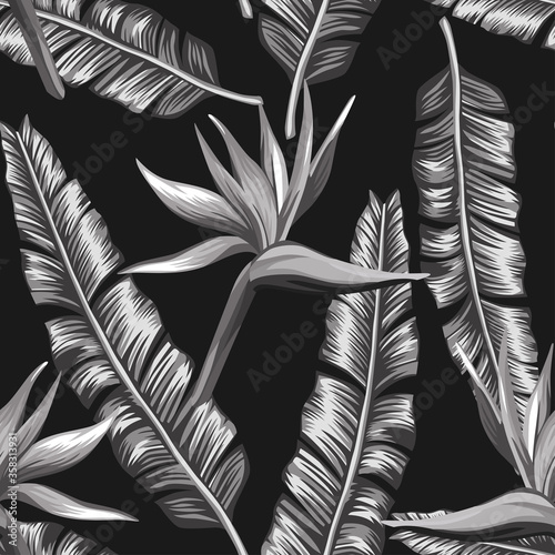 Kreatywna, czarno-biała, bezszwowa ilustracja rajski ptak strelizia, kwiaty i liście palm bananowych na czarnym tle Des