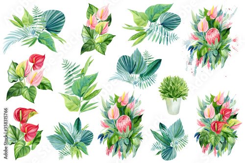  tropical plants, leaves, flowers watercolor boho illustration, botanical painting, bouquet of flowers