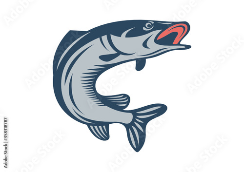 vector fish on white background