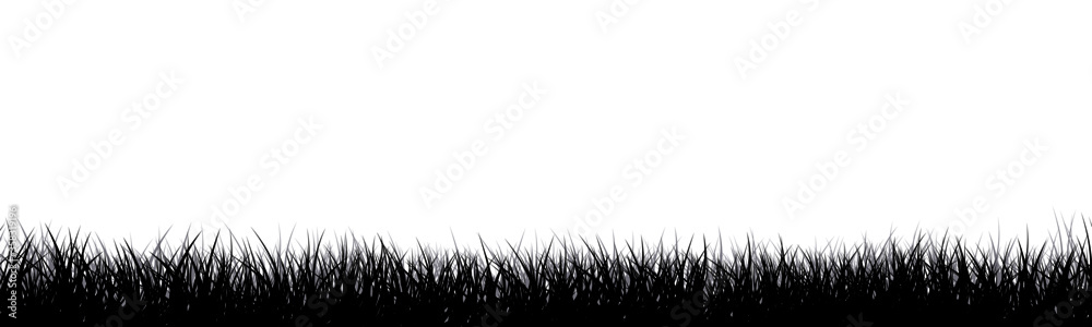 Fototapeta premium Meadow vector illustration