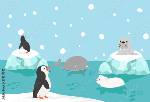  Wildlife Arctic animal with Nature Travel