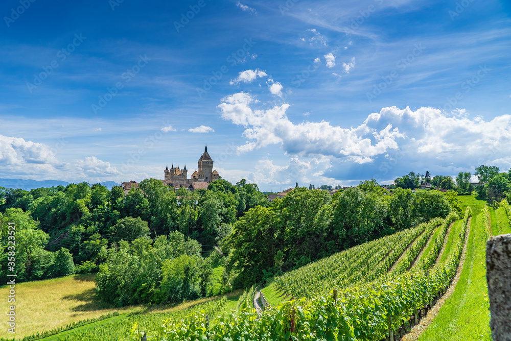 le château de Vufflens-le-château près de Lausanne en Suisse romande sur sa colline se dresse dans un ciel bleu et des gros cumulus blancs avec ses vignes et sa forêt d'un vert vif