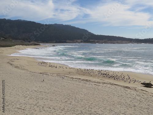 Fototapeta Naklejka Na Ścianę i Meble -  the view of a beautiful beach in Carmel-by-the-Sea in the Monterey County in California in the month of October, USA