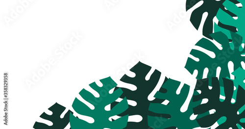 sfondo, foglie, piante, palma, tropicale, giungla