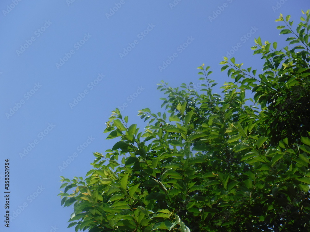 それぞれが それぞれに 向かって それぞれが それぞれに 向かって