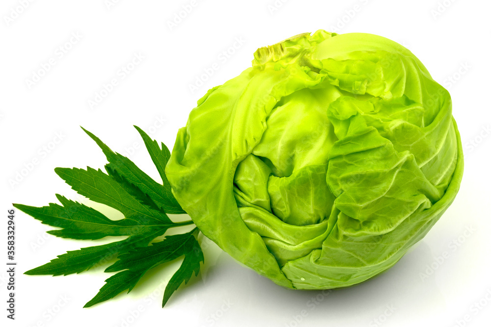 Fototapeta premium Whole fresh white cabbage with green leaves isolated on white background