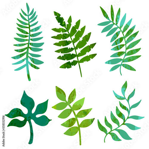 Green leaves set