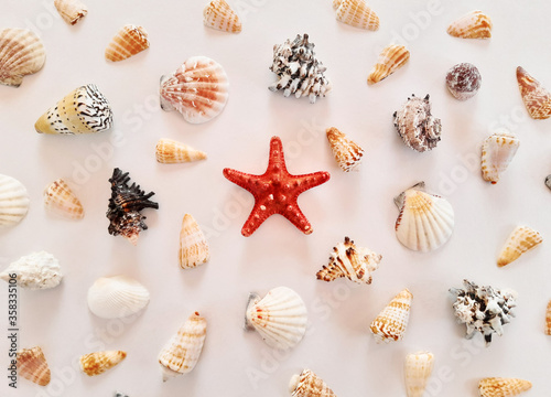Composition of many white, beige, black exotic seashells different shapes and types and red starfish on a white background. Summer advertising marine concept. Flat lay, top view, close up, copy space