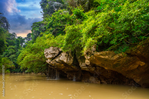 Rainforest of Khao Sok National Park  Thailand