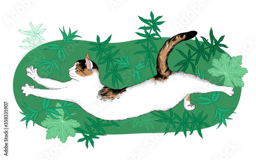 Cute cat is lounging in  the thickets. Illustration on white background. Hand-drawn vector illustration of an animal. Sketch.