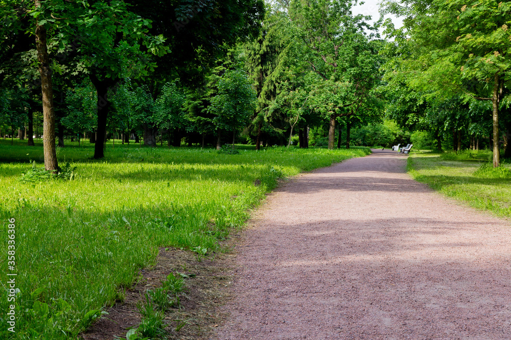sunny green park without people sunny green park without people