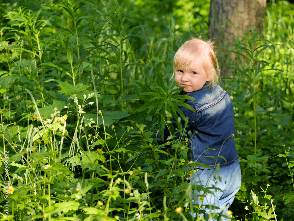 Selective focus on a blonde little girl looking out from the thick green grass. Happy child plays in nature on a sunny day. The girl is dressed in a blue denim suit. Selective focus on a blonde little girl looking out from the thick green grass. Happy child plays in nature on a sunny day. The girl is dressed in a blue denim suit.