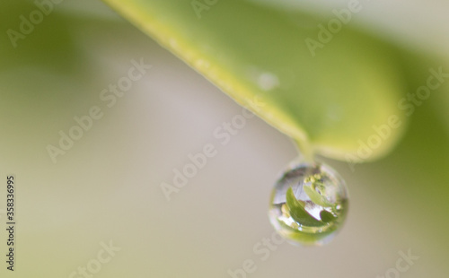 single waterdrop haning on a leaf with refraction of a smaller leaf