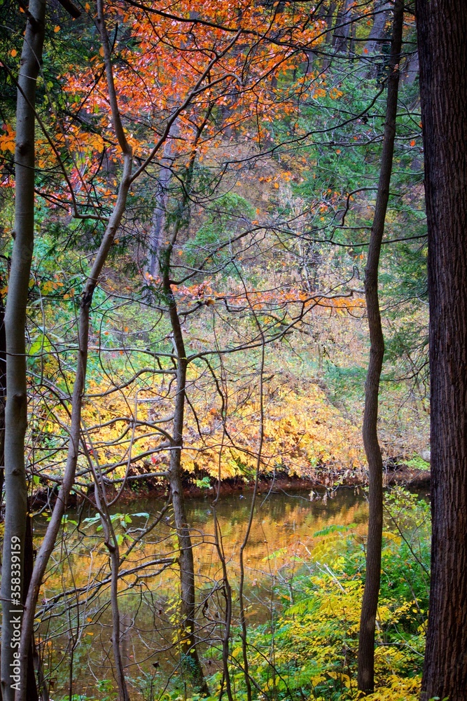 Colorful fall foliage scenes in Philadelphia's Wissahickon Valley on an early autumn afternoon. Colorful fall foliage scenes in Philadelphia's Wissahickon Valley on an early autumn afternoon.