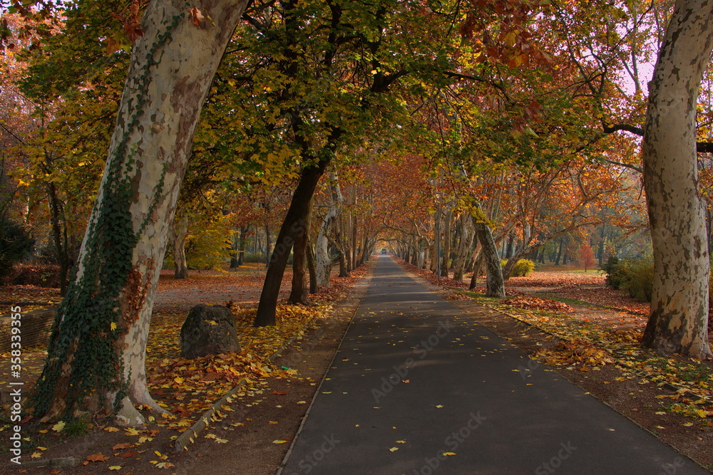 Naklejka premium Autumn in Helikon park in Keszthely in Hungary,Europe 