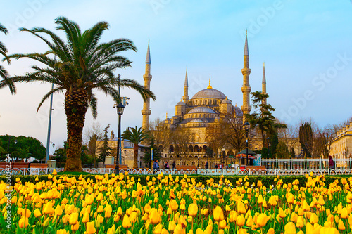 The Blue Mosque, (Sultanahmet Camii) with yellow tulips, Istanbul, Turkey
