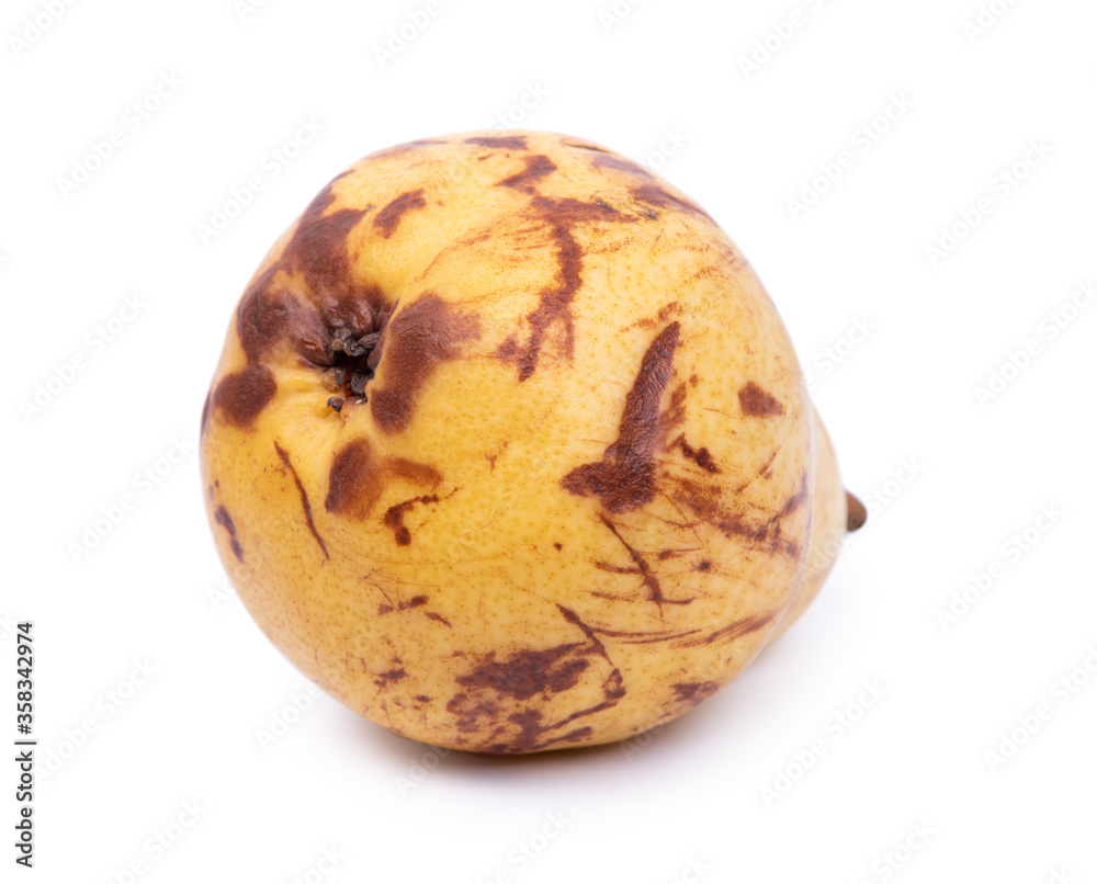 Fototapeta premium One defective pear
