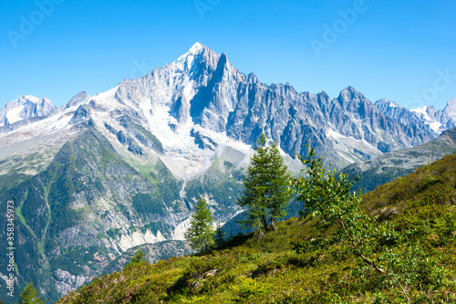Alpine landscape with Mont Blanc mountains at summer from Plan Praz. France nature tourism background. Hiking, eco-planet concept.