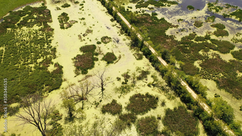Aerial view of open water marsh. Midwestern landscape, wilderness from above. Daytime, summer