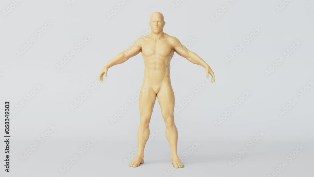 Weight and fat loss process. Result of training, liposuction, diet. Before and after animation. 3d figure. Weight and fat loss process. Result of training, liposuction, diet. Before and after animation. 3d figure.