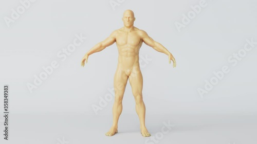Weight and fat loss process. Result of training, liposuction, diet. Before and after animation. 3d figure.