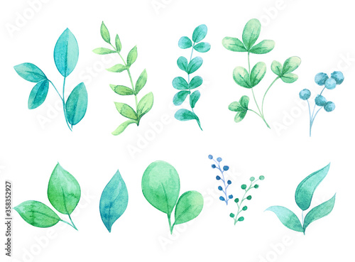 Watercolor set of cute leaves and branches. Colorful summer leaflets for design on white background. Watercolor floral collection. Set watercolor elements - herbs, leaves