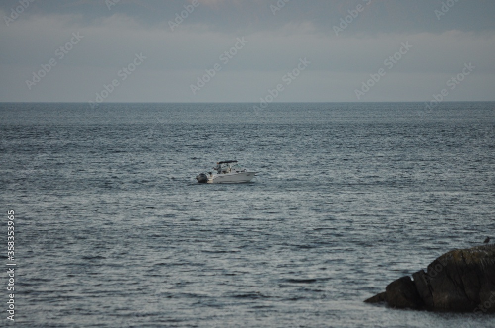 Obraz premium 6172020j