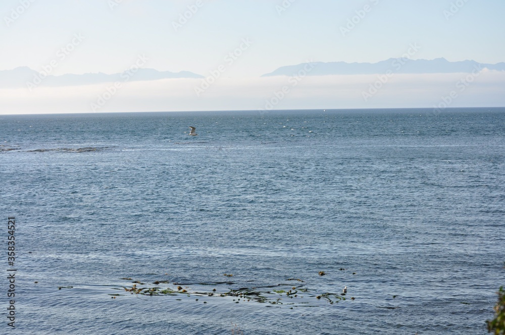 Obraz premium 6172020j