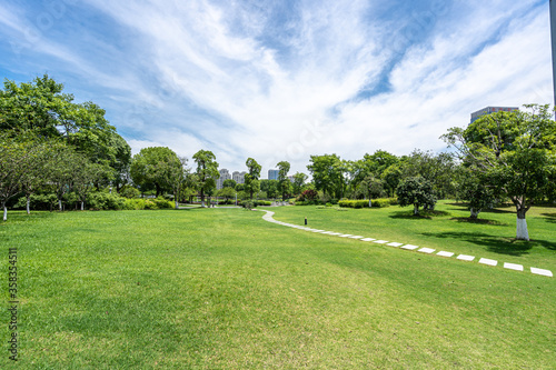 road in park