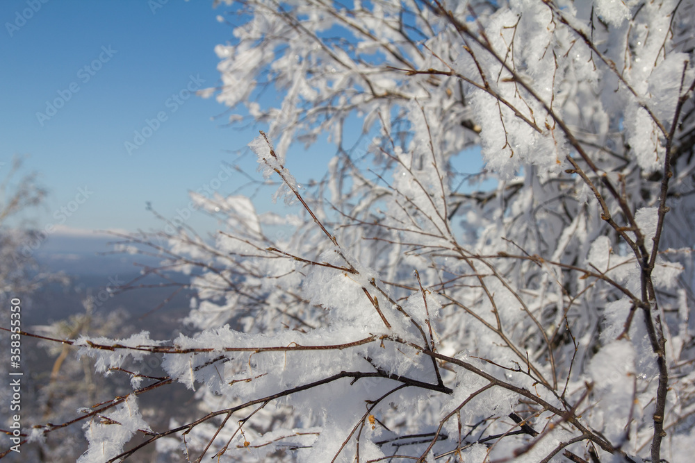 Obraz premium Frozen tree on winter mountains. Snow covered trees. Winter frost forest. Ural landscape.