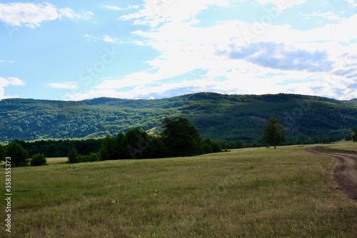 Panoramic view. Forests and fields. Green grass. Blue sky. Summer. Relax 