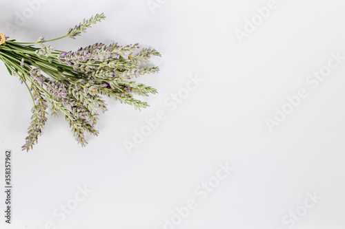 purple lavender bouquet white background