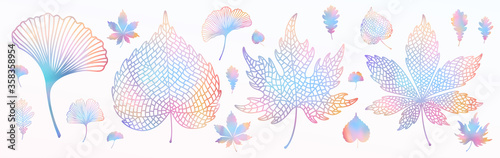 Ginkgo biloba, oak, linden, chestnut leaf set. Vector colorful isolated and silhouette objects. Botanical multicolored holographic gradient vibrant trendy illustration