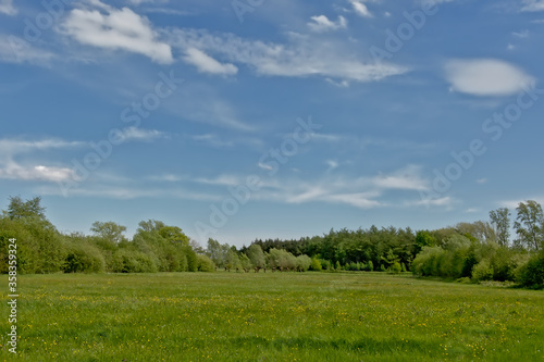 Meadow with trees in Bourgoyen nature reserve, Ghent, Flanders, Belgium