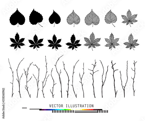 Leaves and branches set collection Isolated realistic vector in black and white color botanical illustration Floral creator constructor for your design Linden, chestnut leaf objects