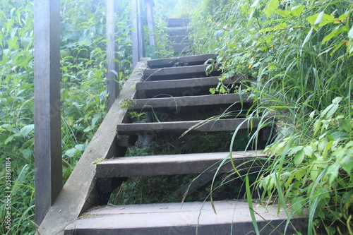Old wooden staircase goes up among the grass