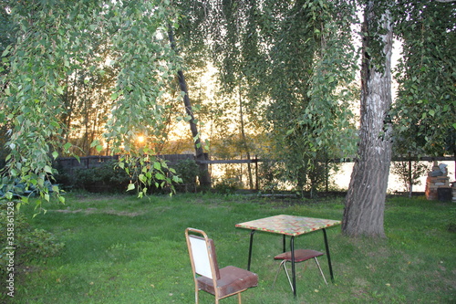 old desk and chair are under a birch tree on a green lawn