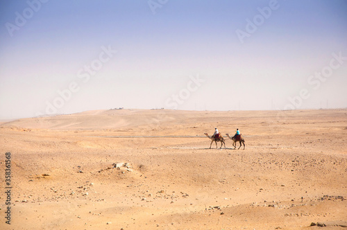 Two small silhouettes of camels riding in the Sahara desert on the hot daytime, Giza, Cairo, Egypt