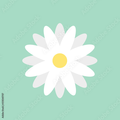 Fototapeta Naklejka Na Ścianę i Meble -  Chamomile or daisy flat vector icon