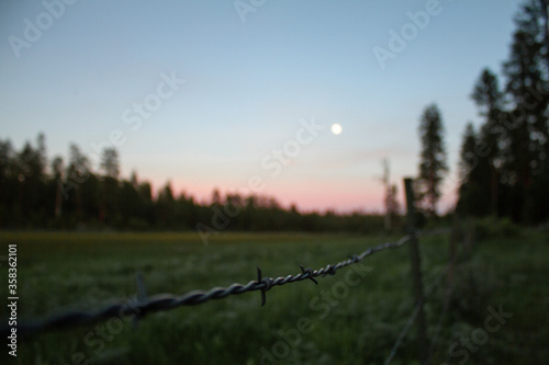 Barbed wire Field at Sunet