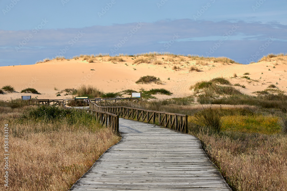 Fototapeta premium Playa con grandes dunas en una zona medioambiental protegida