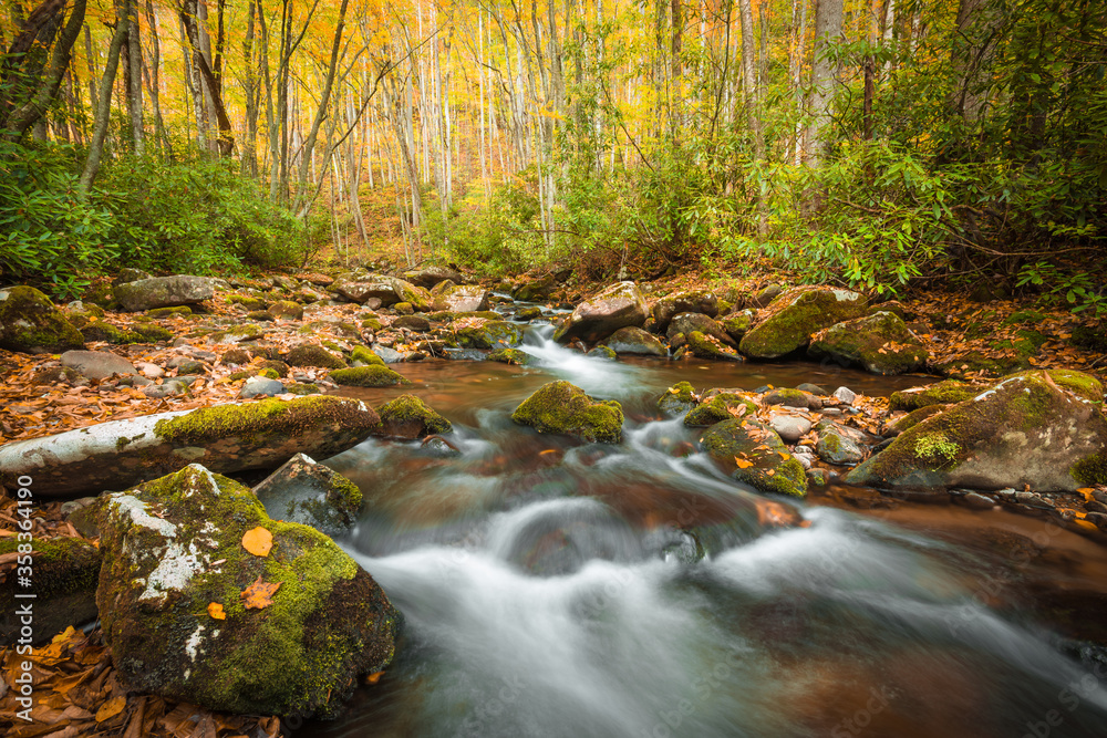 Mountain stream in Autumn I Mountain stream in Autumn I