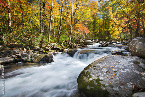 Fototapeta Naklejka Na Ścianę i Meble -  Mountain River in Autumn II