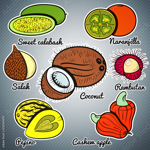 exotic fruit color set vector illustration
