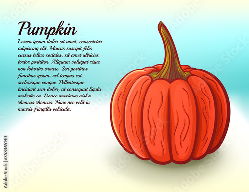 freshness pumpkin bright vector illustration photo