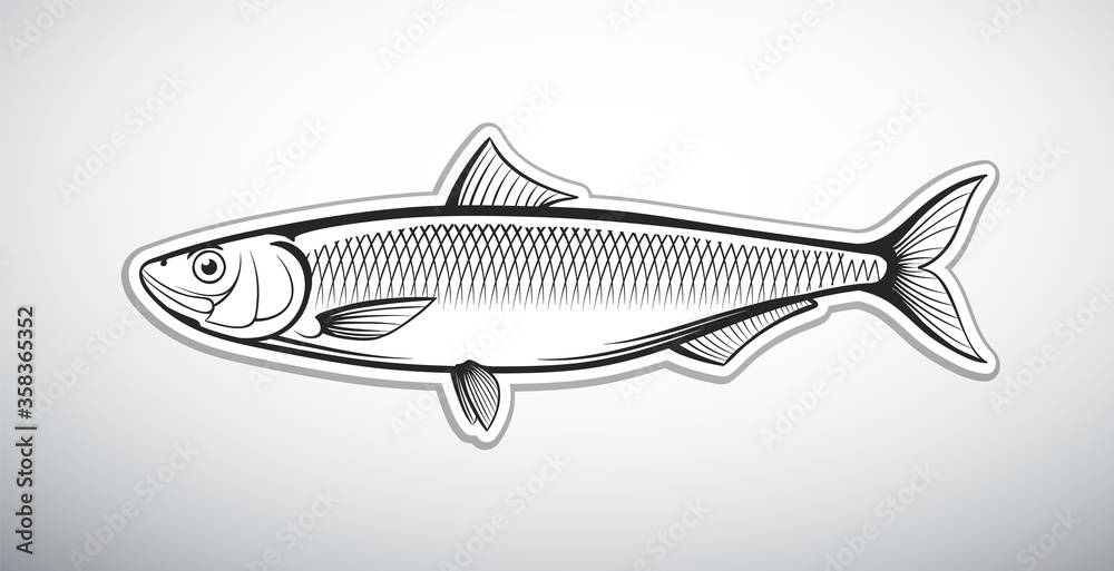 herring fish outline style vector illustration