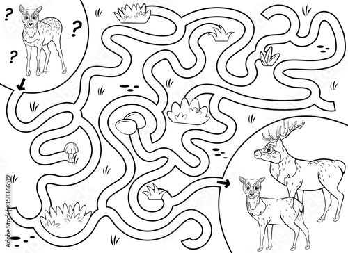 Help the little lost fawn find the way to his family. Maze or labyrinth game for preschool children. Puzzle. Tangled road. Black and white for coloring. Forest animals for kids