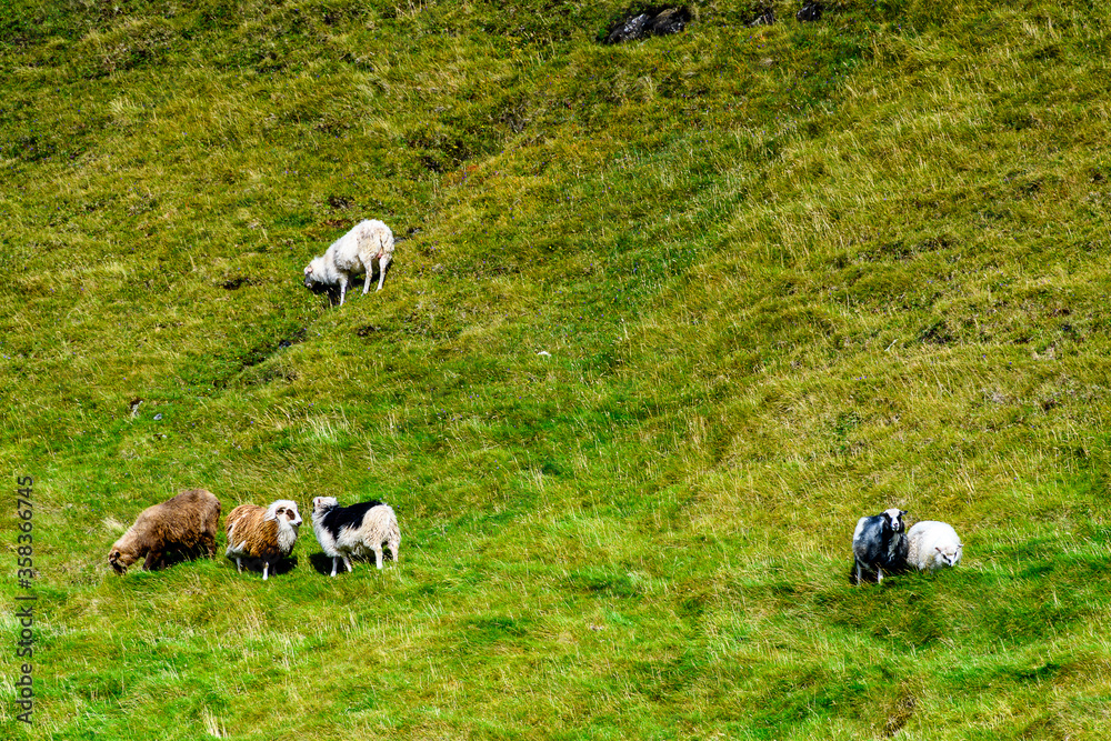Faroe Island, Kingdom of Denmark Faroe Island, Kingdom of Denmark